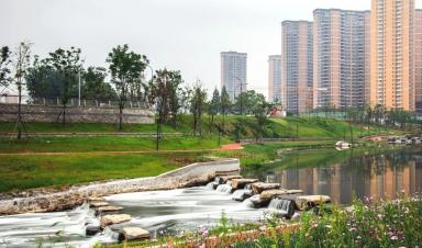 什么是城市生命线工程？该如何建设？